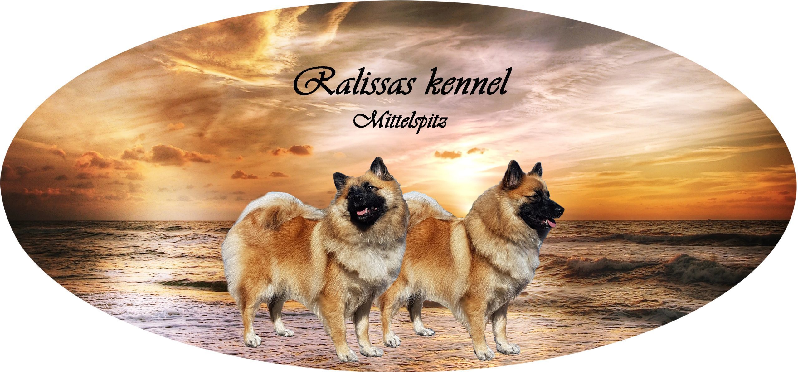 Ralissa